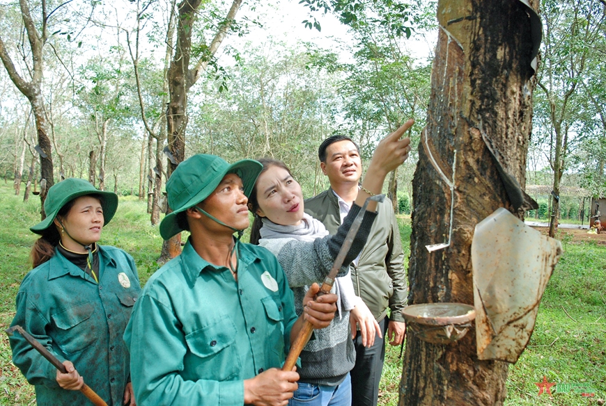 Để đồng bào an cư, lạc nghiệp trên quê hương mình